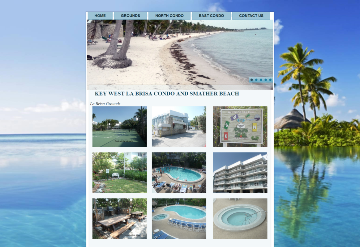 Website-Design-NY-003